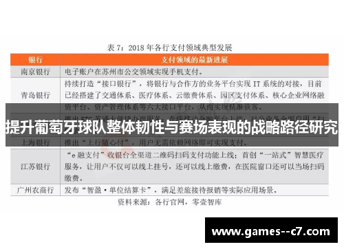 提升葡萄牙球队整体韧性与赛场表现的战略路径研究