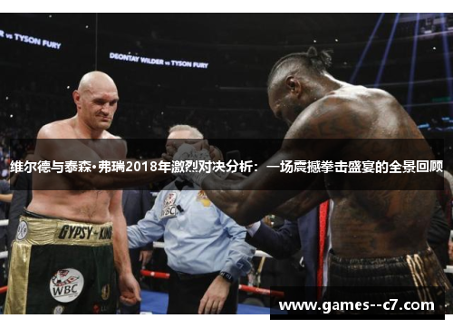 维尔德与泰森·弗瑞2018年激烈对决分析：一场震撼拳击盛宴的全景回顾