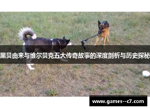 黑贝由来与维尔贝克五大传奇故事的深度剖析与历史探秘