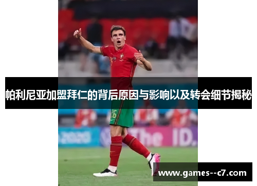 帕利尼亚加盟拜仁的背后原因与影响以及转会细节揭秘